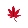 picto-momiji